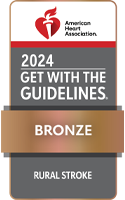 American Heart Association Stroke Bronze Logo