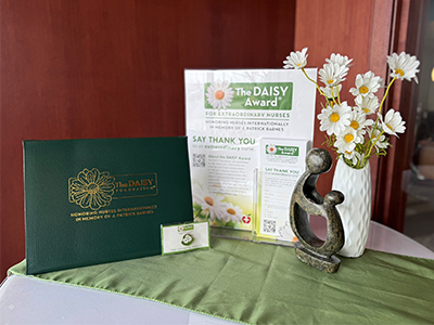 Image of DAISY Award nomination.