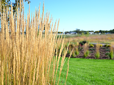 Image of JRMC Kornovich Healing Garden, which was donated by the community through JRMC Foundation.