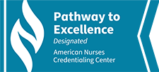 Pathway to Excellence logo