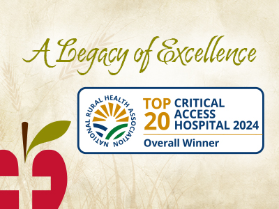 Top 20 Critical Access Hospital logo